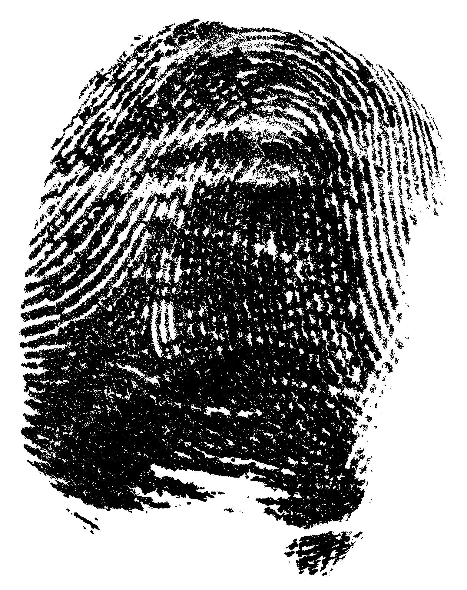 Bloody fingerprint isolated on a white background, top view. Fingerprint made with blood.